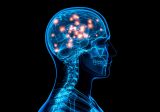 Atividade física ajuda no raciocínio e retarda envelhecimento cerebral